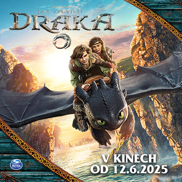 jak-vycvicit-draka/spin-master