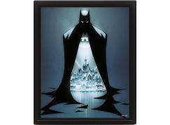 3D obraz Batman Gotham protector - Poškozený obal