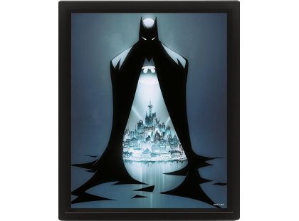 3D obraz Batman Gotham protector - Poškozený obal