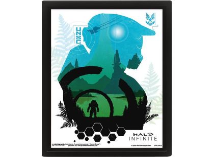Pyramid International Halo 3D Obraz