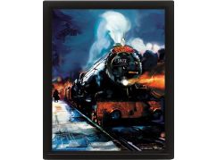 3D obraz Harry Potter Bradavický expres - Poškozený obal