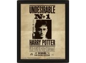 3D obraz Harry Potter Sirius - Poškozený obal