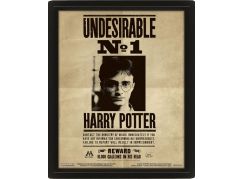 3D obraz Harry Potter Sirius - Poškozený obal