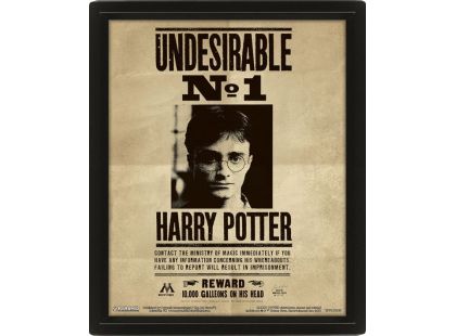 3D obraz Harry Potter Sirius - Poškozený obal