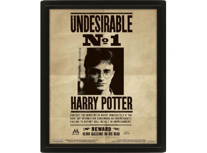 3D obraz Harry Potter Sirius