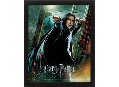 3D obraz Harry Potter Snape - Poškozený obal