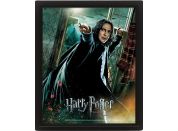 3D obraz Harry Potter Snape - Poškozený obal