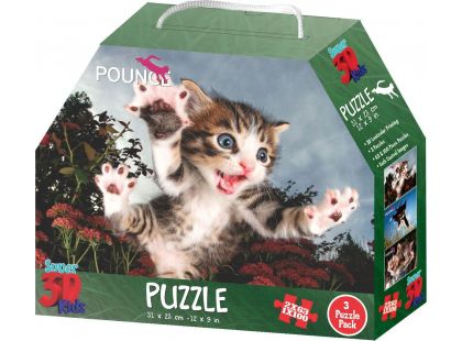 3D Puzzle Koťata 3v1