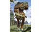 3D Puzzle T-Rex 150 dílků 2