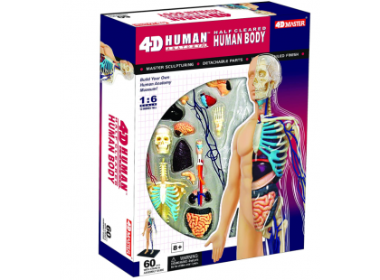 4D Anatomie člověka - tělo