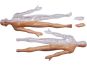 4D Master - Anatomie člověka - 1 polovina těla 33 cm - Poškozený obal 7