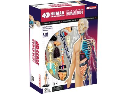 4D Master - Anatomie člověka - 1 polovina těla 33 cm - Poškozený obal