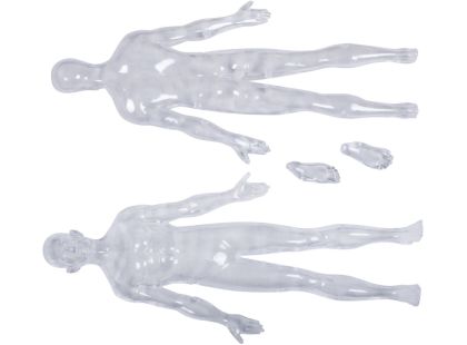 4D Master - Anatomie člověka - Transparentní tělo 33 cm