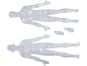 4D Master - Anatomie člověka - Transparentní tělo 33 cm 4