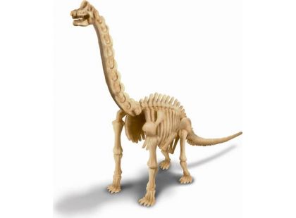 4M Brachiosaurus skládací kostra