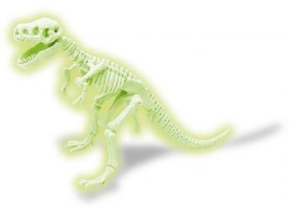 4M Dinosaurus skládací kostra - Tyrannosaurus Rex