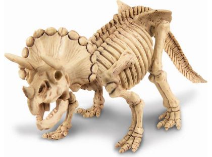 4M Triceratops skládací kostra
