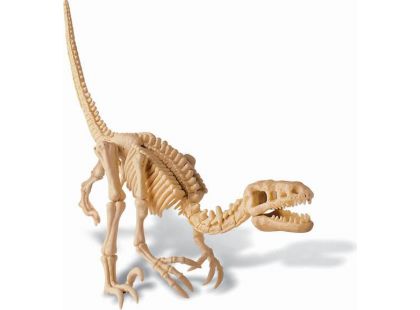 4M Velociraptor skládací kostra