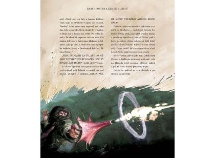 Albatros Harry Potter a Kámen mudrců ilustrované vydání
