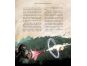 Albatros Harry Potter a Kámen mudrců ilustrované vydání 2