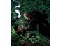 Albatros Harry Potter a vězeň z Azkabanu ilustrované vydání 6