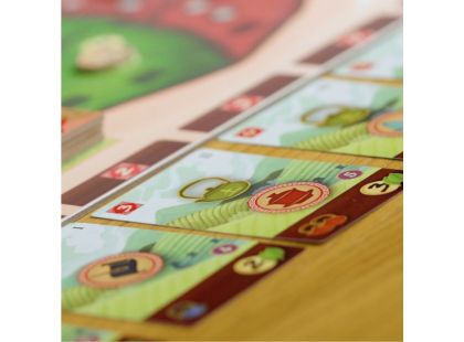 Albi Čajová zahrada