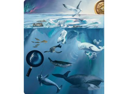 Albi Kouzelné čtení kniha Tajemství moří a oceánů