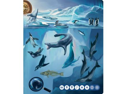 Albi Kouzelné čtení kniha Tajemství moří a oceánů