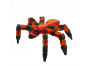 Alltoys Klixx Creaturez Ohnivý mravenec oranžový 2