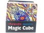 Alltoys Magnetická kostka 3D 2 2