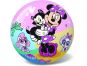 Alltoys Míč Disney Minnie Hotel pro mazlíčky 23 cm 2