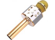 Alltoys Mikrofon bezdrátový zlatý