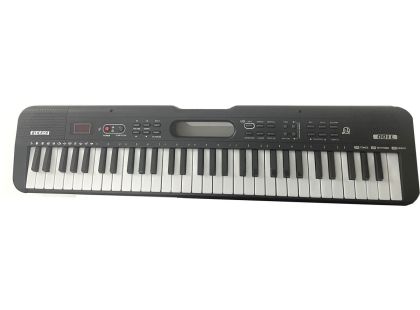 Alltoys Pianko s mikrofonem