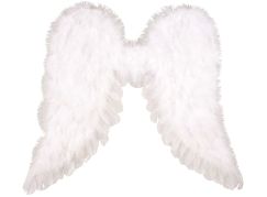 Anděl Přerov Andělská křídla 45 x 39 cm