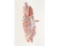 Antonio Juan 70150 Clara realistická panenka miminko se zvuky a měkkým látkovým tělem 34 cm 6