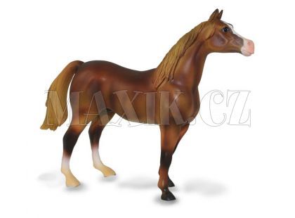 Arabský hřebec hnědý - Figurky Collecta