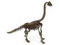 Archeologický set 3D Brachiosaurus 2