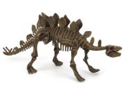 Archeologický set 3D Stegosaurus