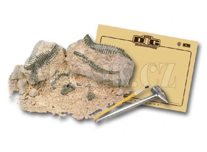 Archeologie - Stegoceras Dino horizons D4383