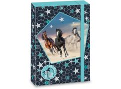 Ars Una Box na sešity Morning Star koně A4