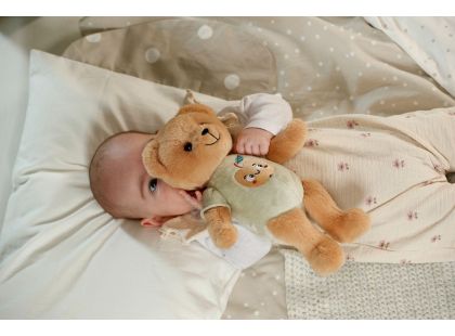 BABY born for babies Teddy, 26 cm