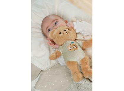 BABY born for babies Teddy, 26 cm