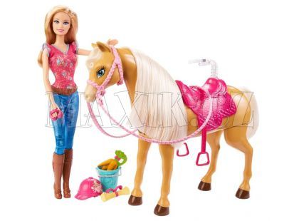 Barbie a Tawny