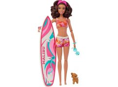 Barbie Barbie surfařka s doplňky