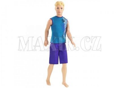Barbie Beach Ken R4203