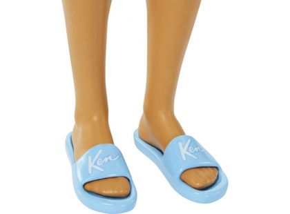Barbie Deluxe módní panenka - Ken v plavkách