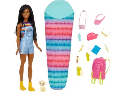 Barbie DreamHouse Adventure kempující panenka 30 cm Brooklyn