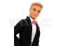 Barbie Ken ženich 3
