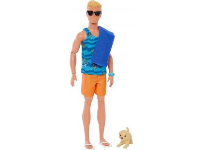 Barbie Ken surfař s doplňky