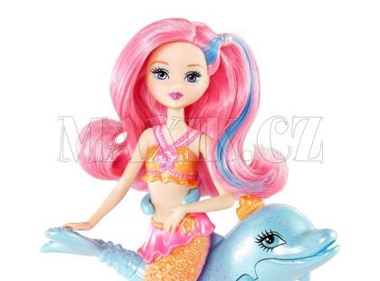 Barbie Mini mořská panna se zvířátkem - Delfín